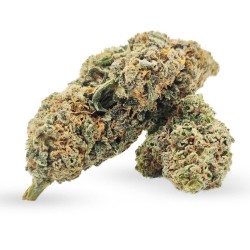 Fleur Amnésia H4CBD