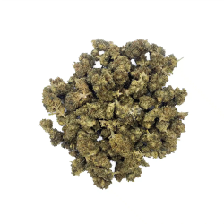 Fleur Zkittlez – Small Buds...