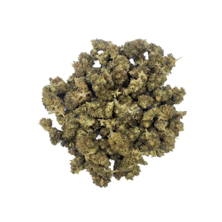 Fleur Zkittlez – Small Buds – C13NRV