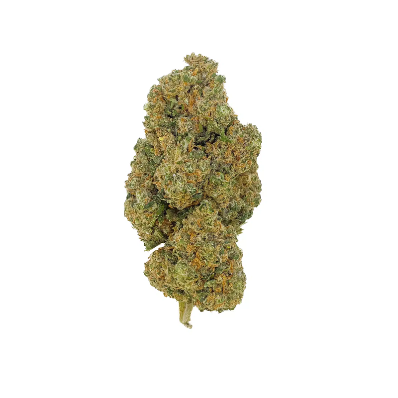G13 Haze – Indoor