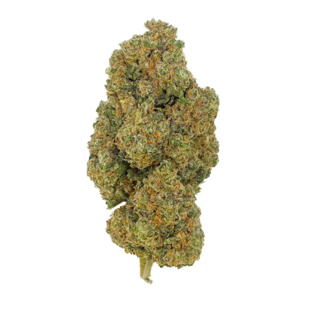 G13 Haze – Indoor