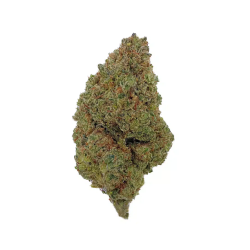 Cookie – C13NRV
