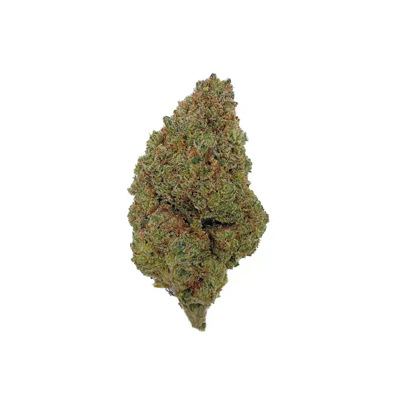 Cookie – C13NRV