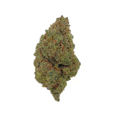 Cookie – C13NRV