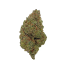 Cookie – C13NRV