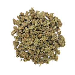 Blueberry – Small Buds –...