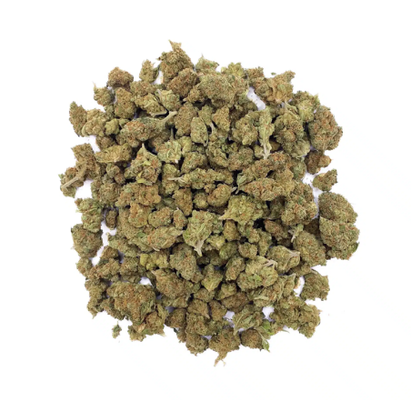 Blueberry – Small Buds – Indoor