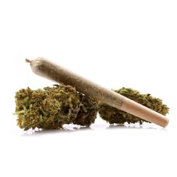 Pre-roulés CBD White Widow x 3