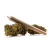 Pre-roulés CBD White Widow x 3