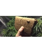 Résines de CBD
